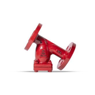 LOT Y Strainer 1" #300