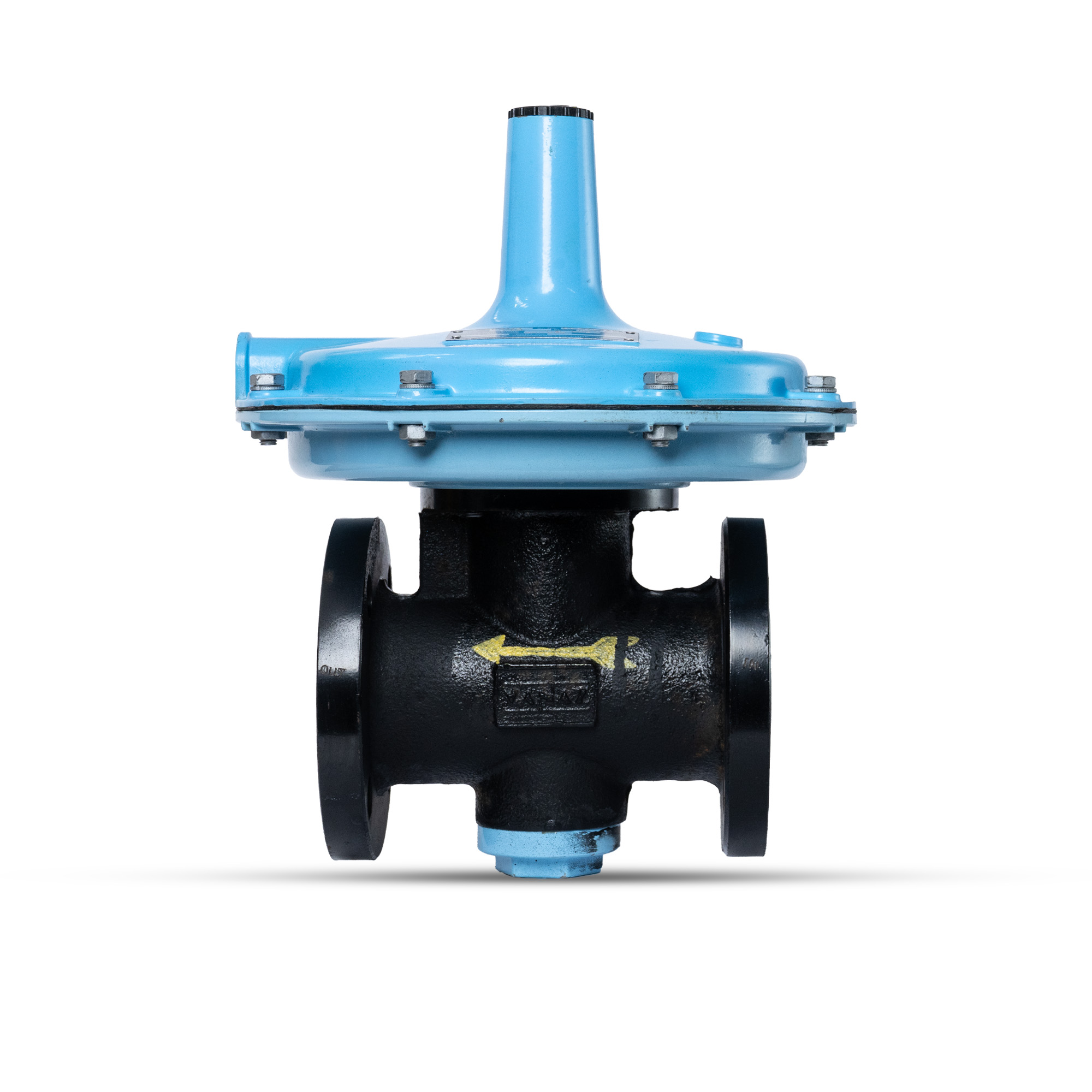 Low Pressure Regulator R6119 2" Flgd