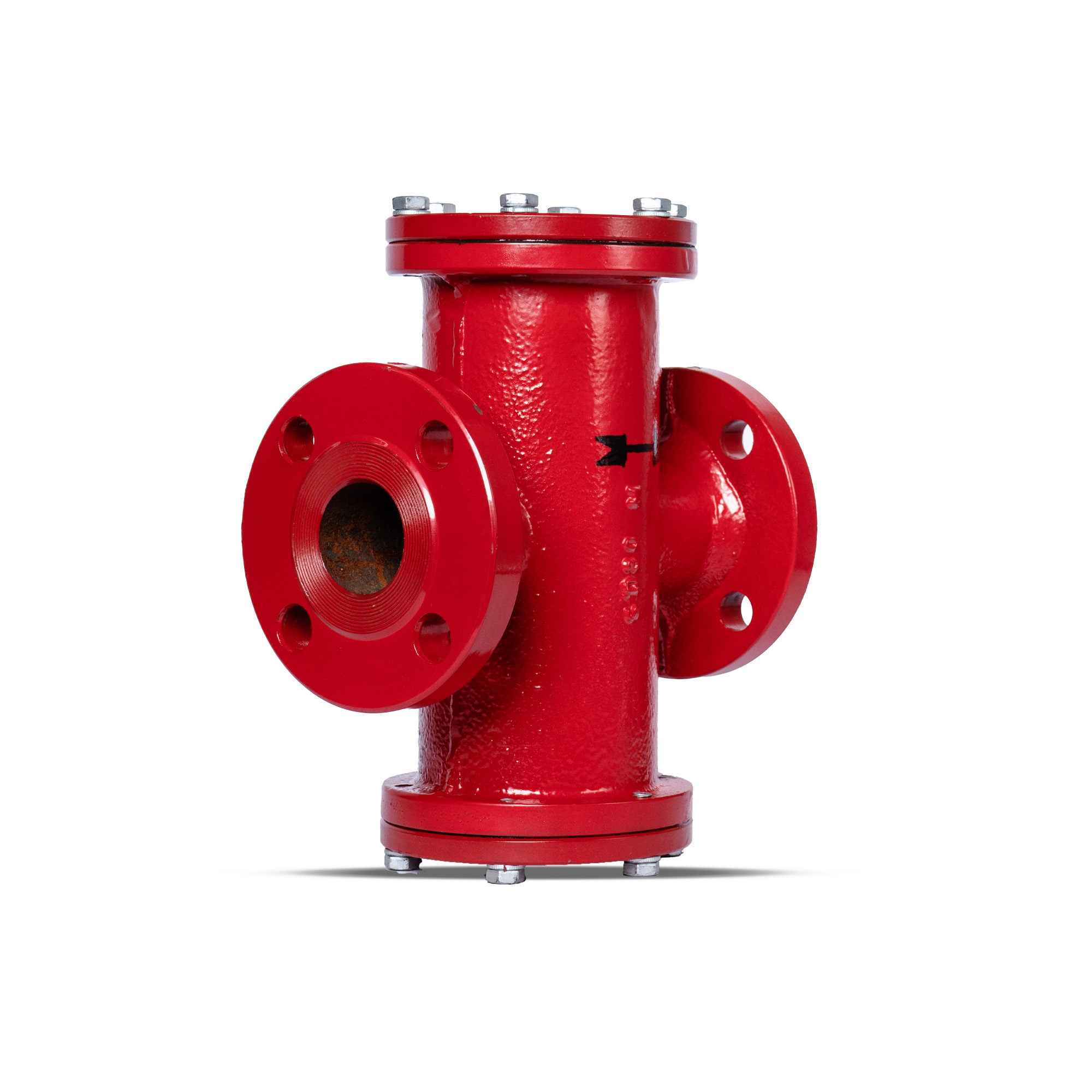 Gas Filter F0107 1.5"Flgd #150 - Image 2