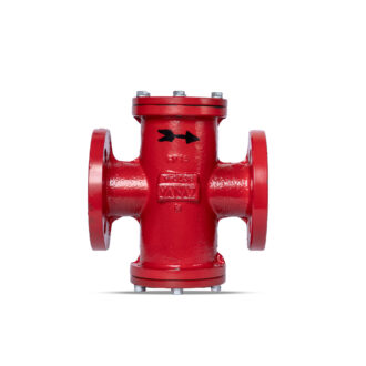 Gas Filter F0108 2"Flgd #150